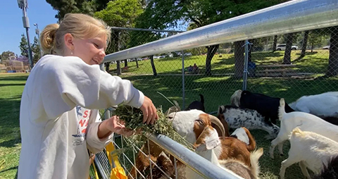 Wildfire Safety Fairs - girl with goats