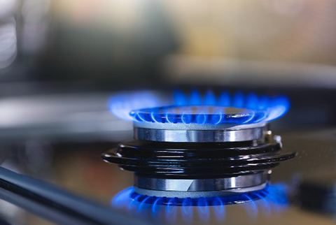 Gas Appliance Check