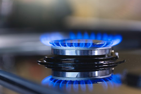 Gas Appliance Check