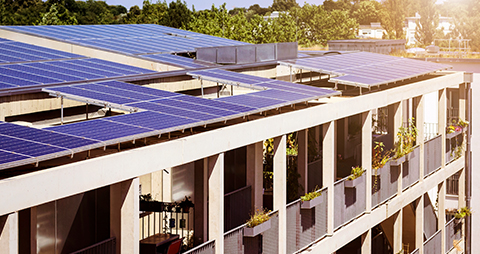 solar panels on roof of building