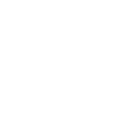 Wildfire Icon