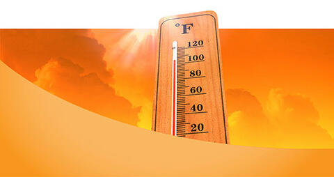 Termómetro de alta temperatura